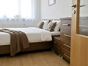 Pronájem bytu 2+kk, Brno, Netušilova, 42 m2