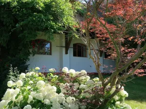 Prodej vily, Křižanov, Benešovo náměstí, 530 m2