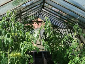 Prodej vily, Křižanov, Benešovo náměstí, 530 m2