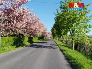 Prodej rodinného domu, Radonice, 260 m2