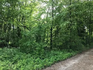 Prodej pozemku, Studénka, 9849 m2