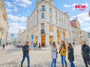 Pronájem restaurace, Plzeň - Vnitřní Město, Zbrojnická, 598 m2