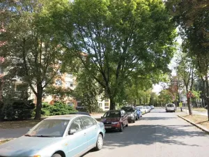 Pronájem bytu 1+1, Přerov, 40 m2