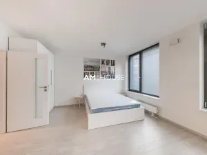 Pronájem bytu 1+kk, Praha - Karlín, Sokolovská, 40 m2