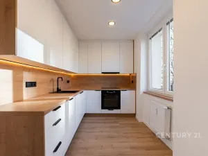 Pronájem bytu 2+kk, Most, Maxe Švabinského, 54 m2