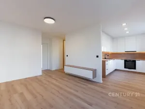 Pronájem bytu 2+kk, Most, Maxe Švabinského, 54 m2