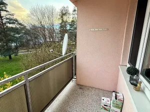 Pronájem bytu 3+1, Plzeň, Komenského, 80 m2