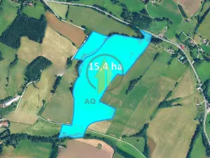 Prodej pole, Horní Olešnice, 153952 m2