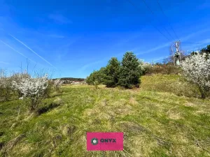 Prodej pozemku pro bydlení, Olšany, 2035 m2