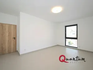 Pronájem rodinného domu, Šestajovice, Konopišťská, 250 m2