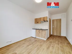 Pronájem bytu 1+kk, Mariánské Lázně, Hlavní třída, 20 m2