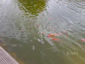 Prodej rodinného domu, Teplice, Na Bramši, 227 m2