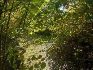 Prodej zahrady, Přerov, 1527 m2