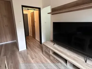 Pronájem bytu 1+kk, Praha - Dejvice, Kanadská, 27 m2