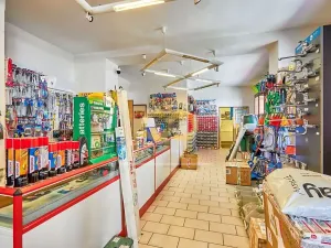 Prodej obchodního prostoru, Doksy, Panská, 270 m2