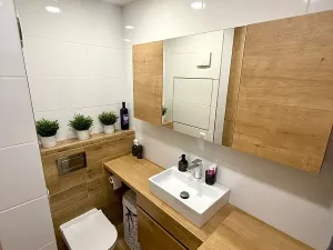 Pronájem bytu 1+1, Prostějov, 39 m2