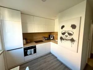 Pronájem bytu 1+1, Prostějov, 39 m2