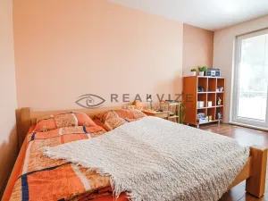 Prodej bytu 1+1, České Budějovice, Větrná, 38 m2