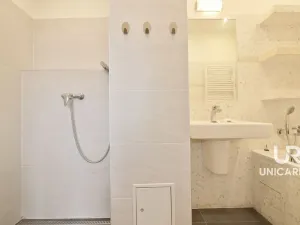 Prodej bytu 2+kk, Brno - Veveří, Dřevařská, 61 m2