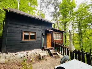 Prodej chaty, Kaliště, 30 m2