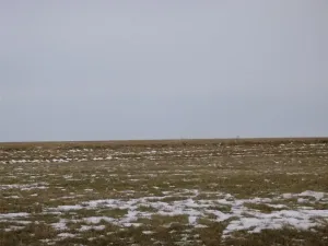 Dražba pole, Nová Sídla, 66956 m2