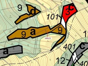 Dražba lesa, Hovězí, 933 m2