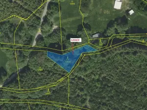 Dražba lesa, Čestín, 633 m2