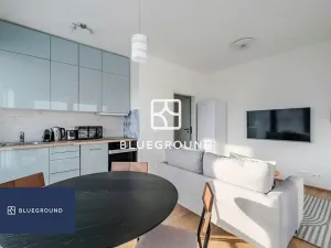 Pronájem bytu 2+kk, Praha - Karlín, Breitfeldova, 62 m2