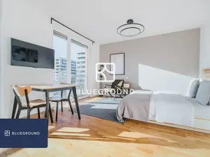 Pronájem bytu 1+kk, Praha - Žižkov, Olgy Havlové, 40 m2