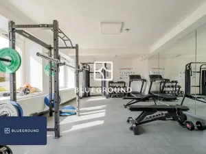 Pronájem bytu 1+kk, Praha - Vinohrady, Perucká, 27 m2