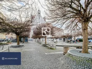 Pronájem bytu 3+kk, Praha - Dejvice, Kafkova, 65 m2