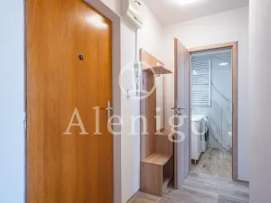 Prodej bytu 1+1, Praha - Čimice, Minická, 40 m2