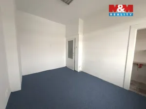 Pronájem kanceláře, Roudnice nad Labem, Purkyňovo náměstí, 120 m2