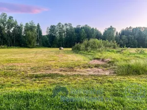 Prodej pozemku pro bydlení, Nová Pec, 874 m2