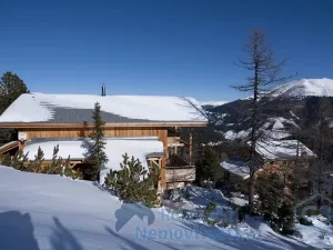 Prodej chaty, Stadl-Predlitz, Rakousko, 120 m2