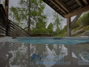 Prodej chaty, Stadl-Predlitz, Rakousko, 120 m2