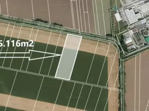 Prodej pole, Moravské Knínice, 5116 m2