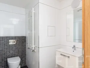 Pronájem bytu 2+kk, Praha - Žižkov, Olšanská, 56 m2