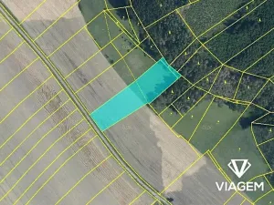 Prodej podílu pole, Střemošice, 1822 m2