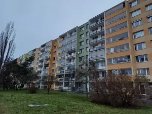 Prodej bytu 2+kk, Praha, Novodvorská, 41 m2