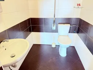 Pronájem restaurace, Mirošovice, Hlavní, 187 m2