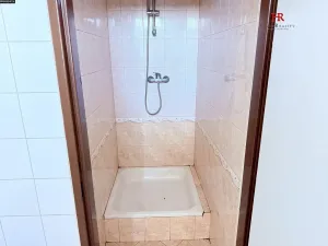 Pronájem restaurace, Mirošovice, Hlavní, 187 m2