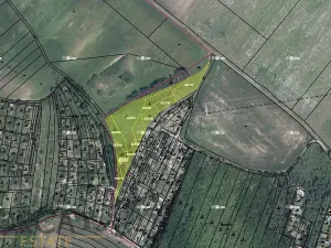 Prodej podílu lesa, Vojkovice, 4526 m2