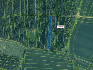 Dražba lesa, Hosty, 1685 m2