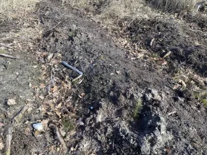 Prodej lesa, Veliny, 4968 m2