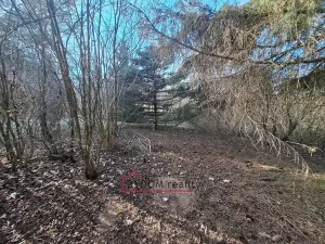 Prodej zahrady, Nové Mitrovice, 1216 m2