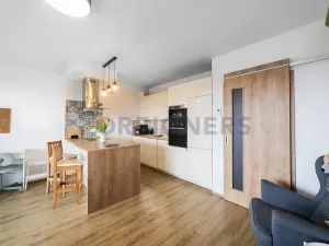 Prodej bytu 1+kk, Olomouc, Loudova, 36 m2