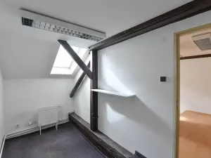 Prodej činžovního domu, Praha - Žižkov, Vlkova, 457 m2