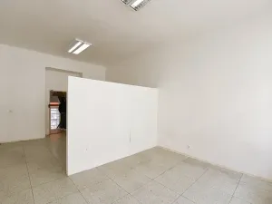 Prodej činžovního domu, Praha - Žižkov, Vlkova, 457 m2