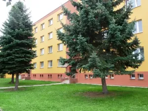 Pronájem bytu 2+1, Duchcov, Družby, 53 m2